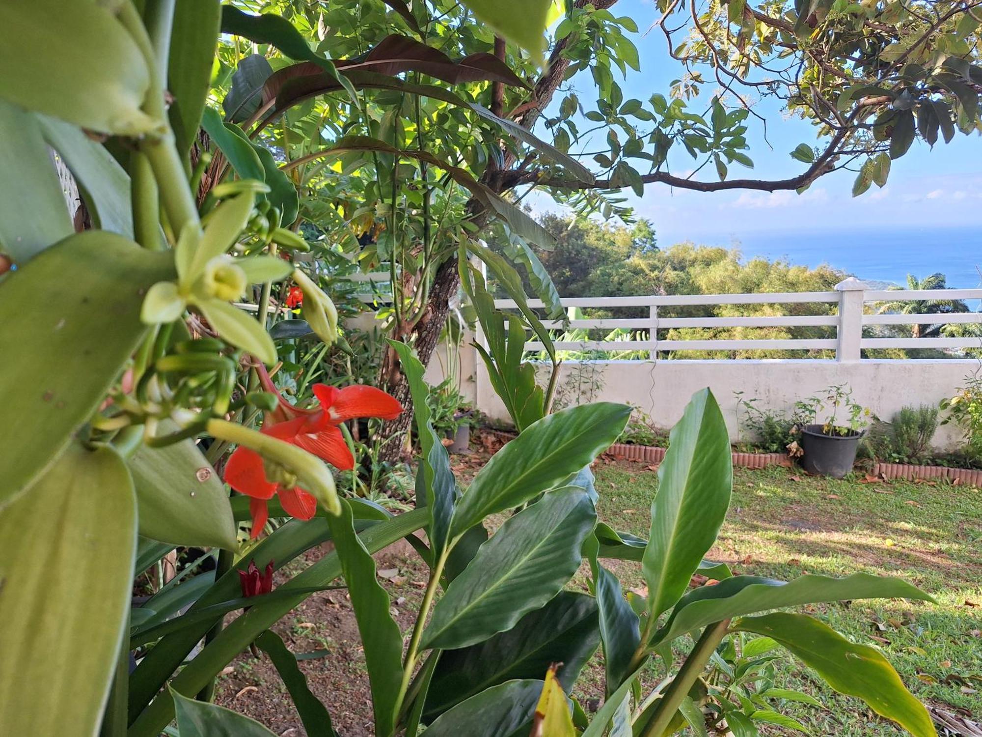 Belavue & Spa Prive, Avec Vue Panoramique Sur Mer, Jardin Creole Paysager, Jacuzzi Prive Bouillante Rom bilde