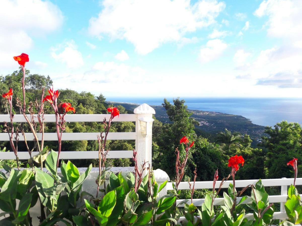 Belavue & Spa Prive, Avec Vue Panoramique Sur Mer, Jardin Creole Paysager, Jacuzzi Prive Bouillante Eksteriør bilde